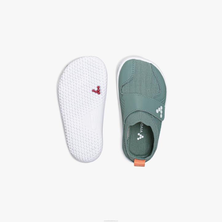 зеленило мора 6BZ8S203 Vivobarefoot примус книт ии малишани
