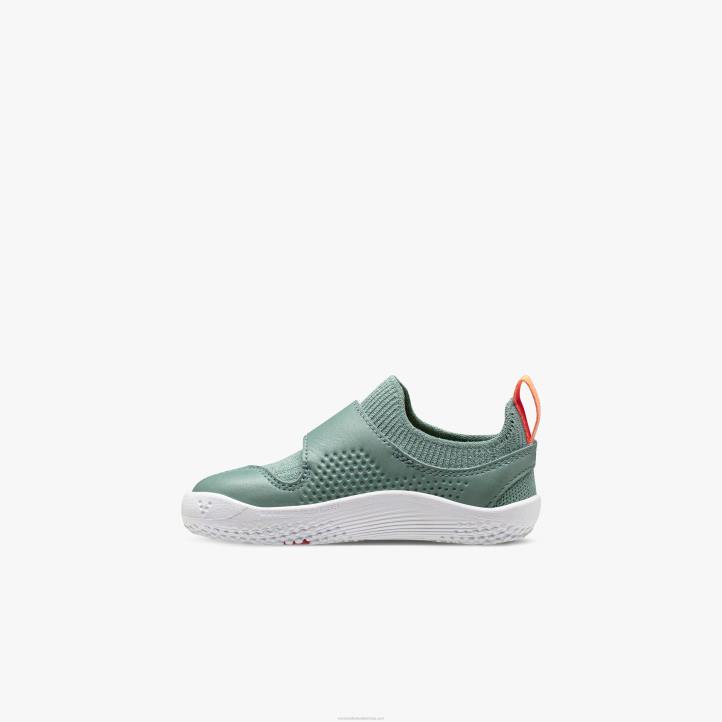 зеленило мора 6BZ8S203 Vivobarefoot примус книт ии малишани