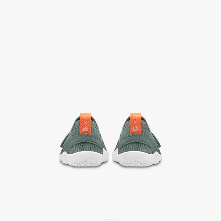 зеленило мора 6BZ8S203 Vivobarefoot примус книт ии малишани