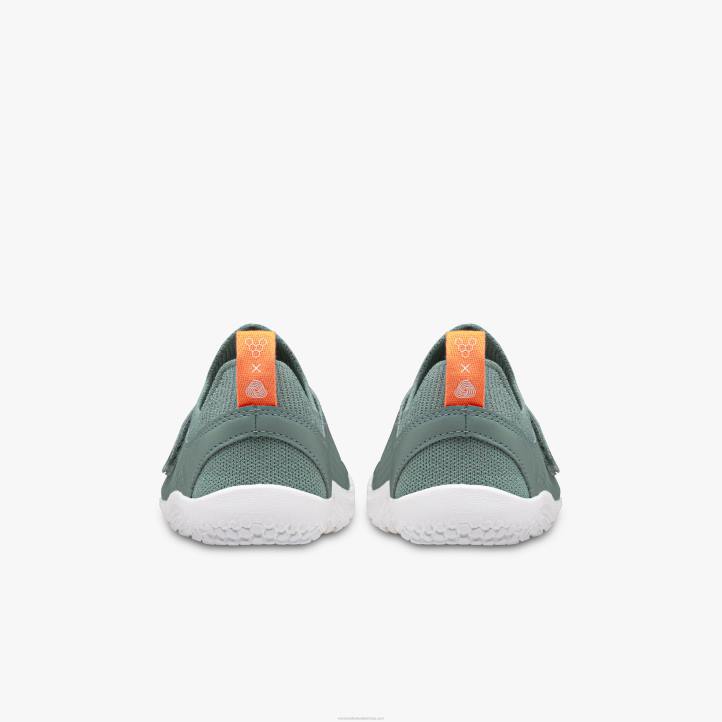 зеленило мора 6BZ8S221 Vivobarefoot примус книт ии деца